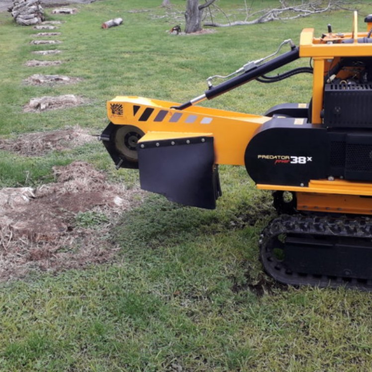 Melbourne Tree Stump Removal & Grinding Services