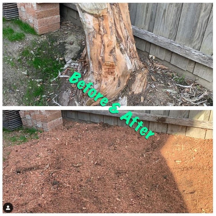 Melbourne Tree Stump Removal & Grinding Services
