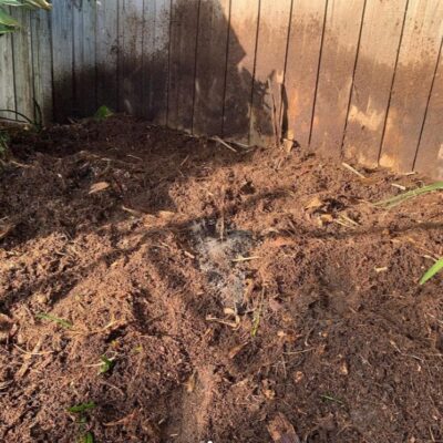 Melbourne Tree Stump Removal & Grinding Services