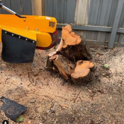 Melbourne Tree Stump Removal & Grinding Services